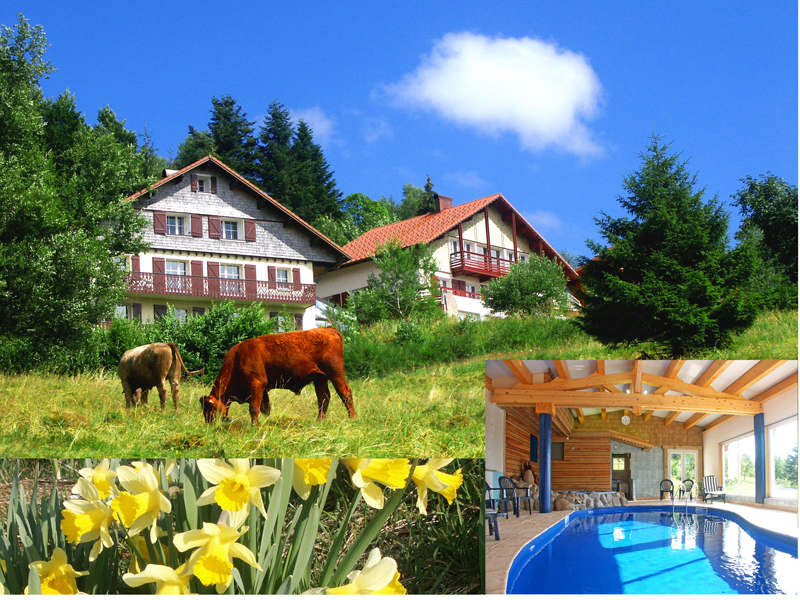 Chalet &agrave; la Montagne: - 88400 G�rardmer